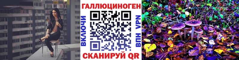 закладка  Зверево  Галлюциногенные грибы Psilocybine cubensis 